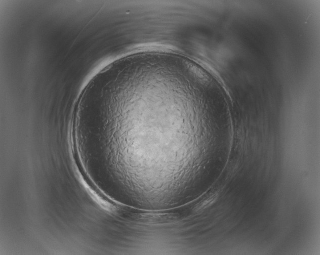 X0000081301391200701111413