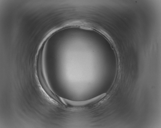 X0000081301392200701111413