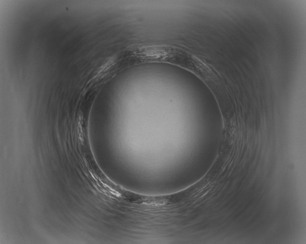 X0000081301394200701111412