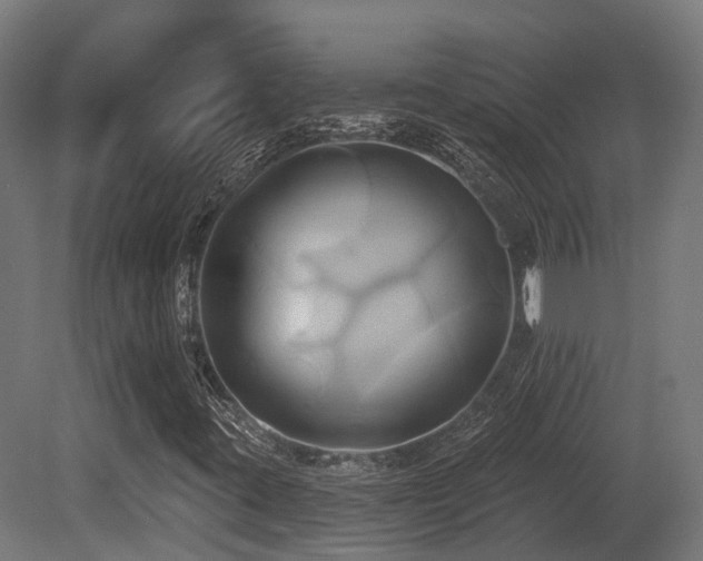 X0000081301395200701111412