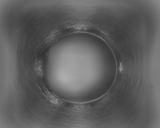 X0000081301396200701111412