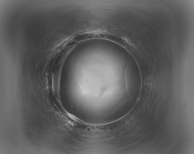 X0000081301398200701111412