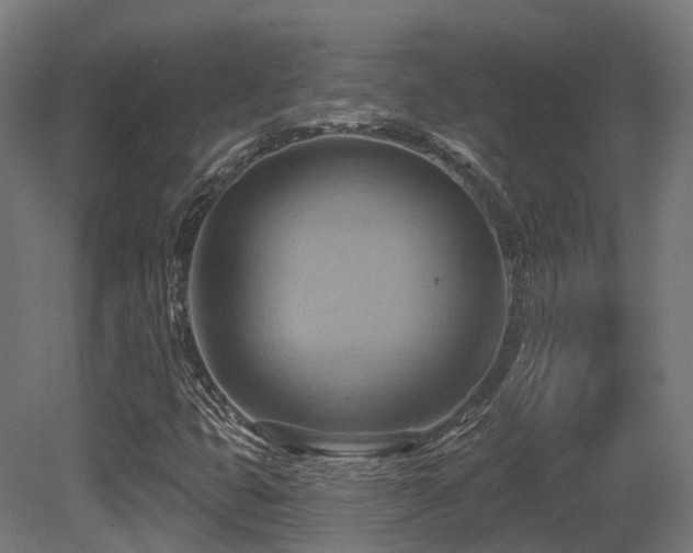 X0000081301399200701111412
