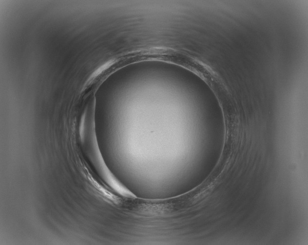 X0000081301402200701111412