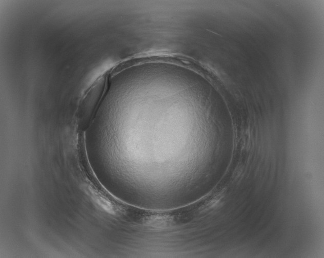 X0000081301406200701111412
