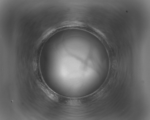 X0000081301407200701111412