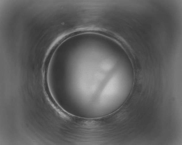 X0000081301416200701111413