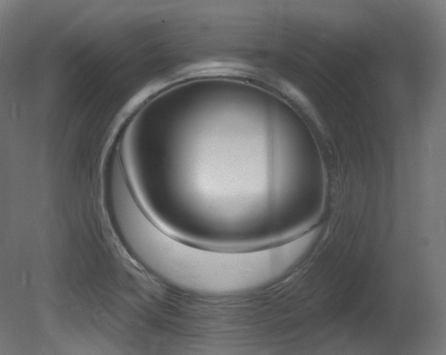 X0000081301419200701111413
