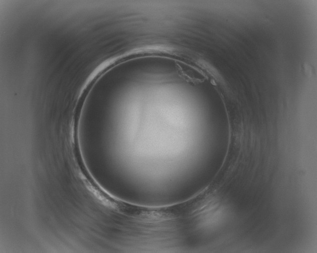 X0000081301420200701111413