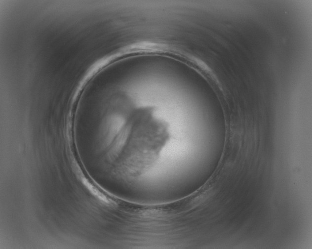 X0000081301421200701111413