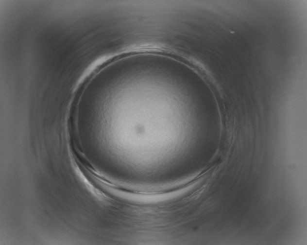 X0000081301422200701111413
