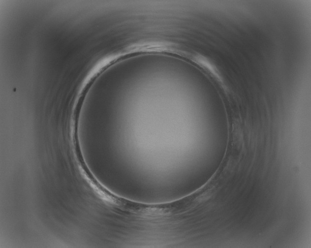 X0000081301424200701111413