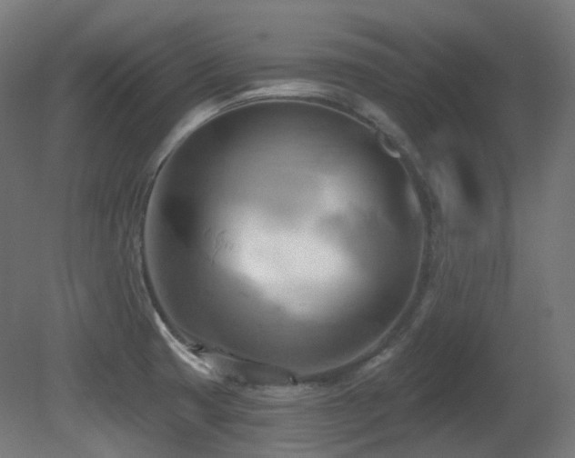 X0000081301425200701111413