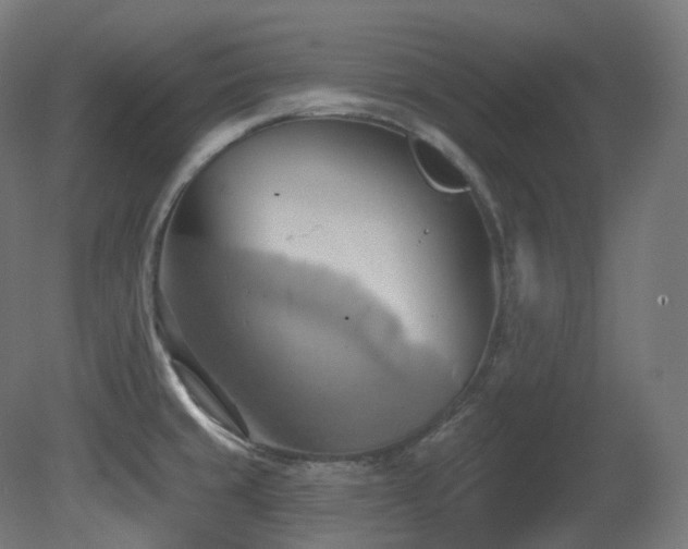 X0000081301429200701111413