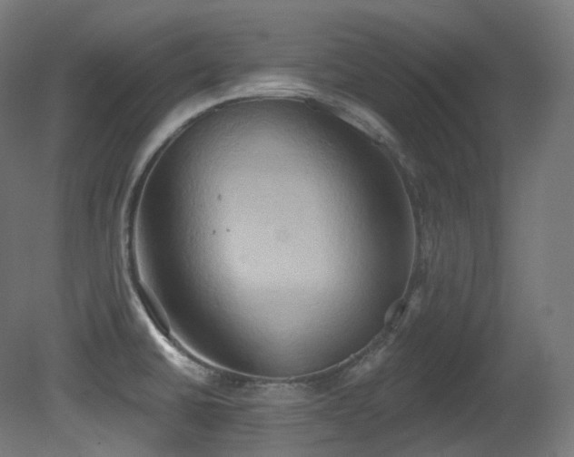 X0000081301430200701111413