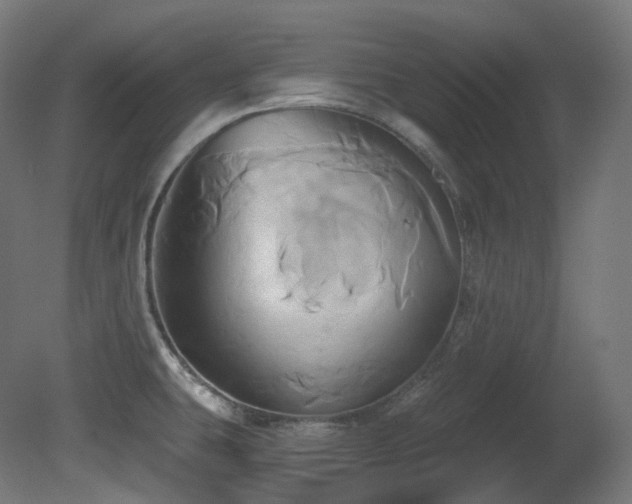 X0000081301431200701111413