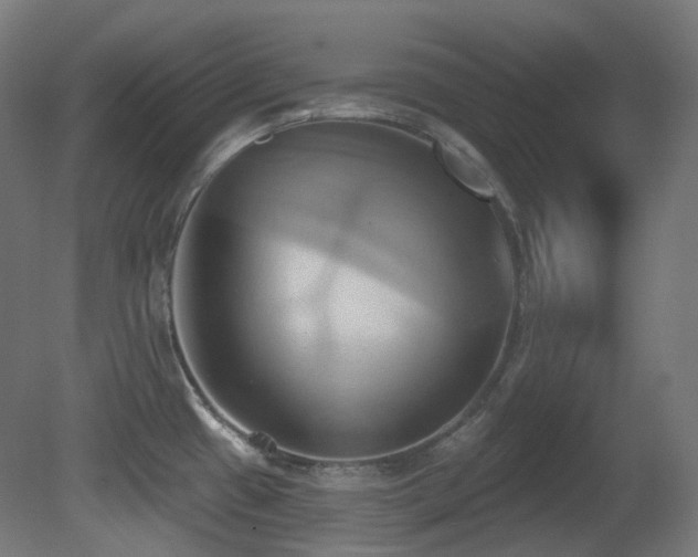 X0000081301433200701111413