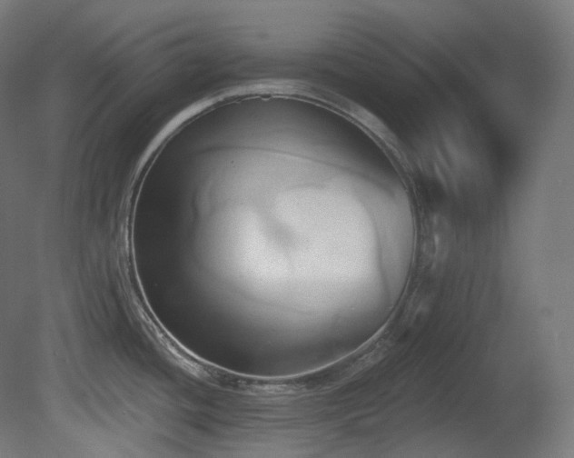 X0000081301436200701111413