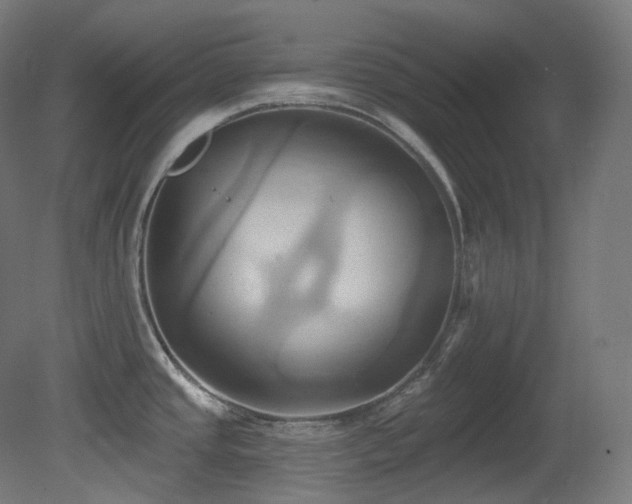 X0000081301437200701111413