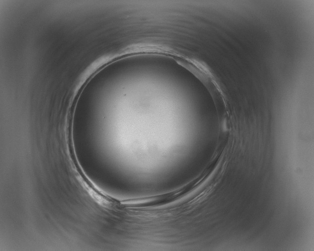 X0000081301438200701111413
