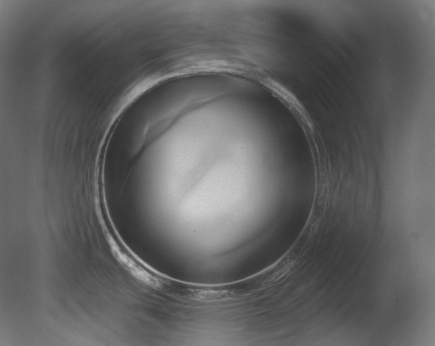 X0000081301439200701111413