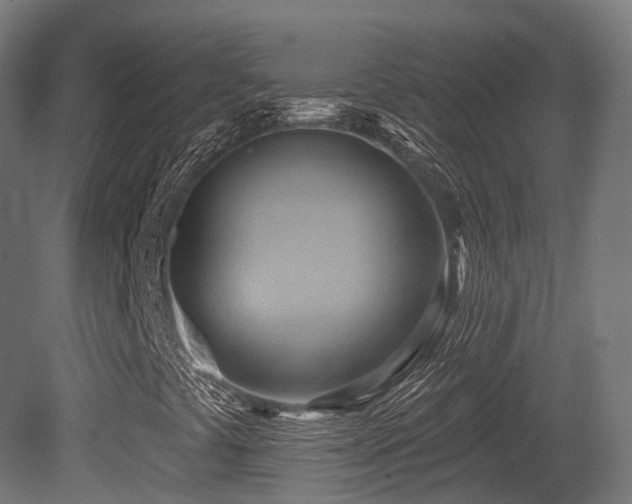 X0000081301441200701111412