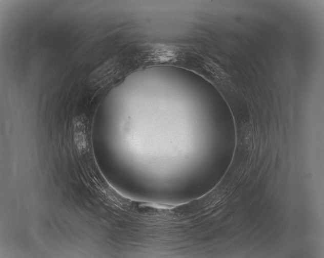 X0000081301442200701111412