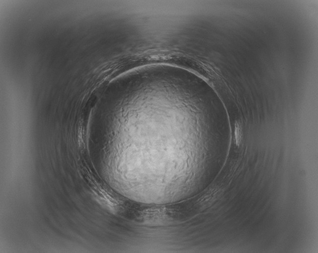X0000081301444200701111412