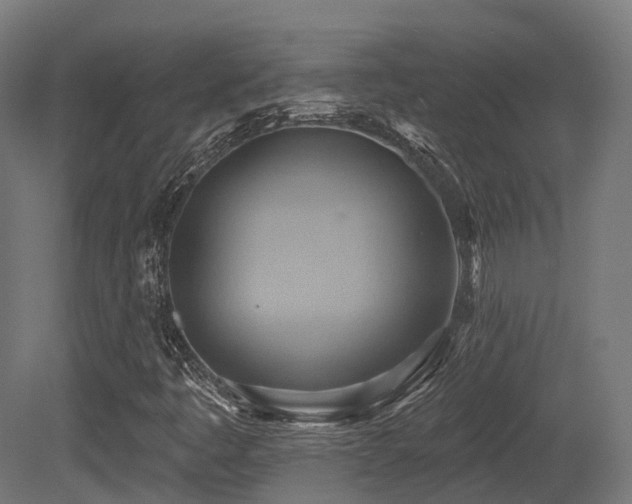 X0000081301445200701111412