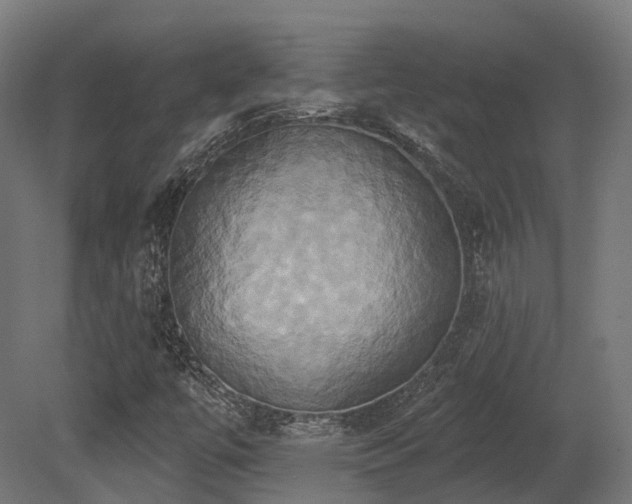 X0000081301447200701111412