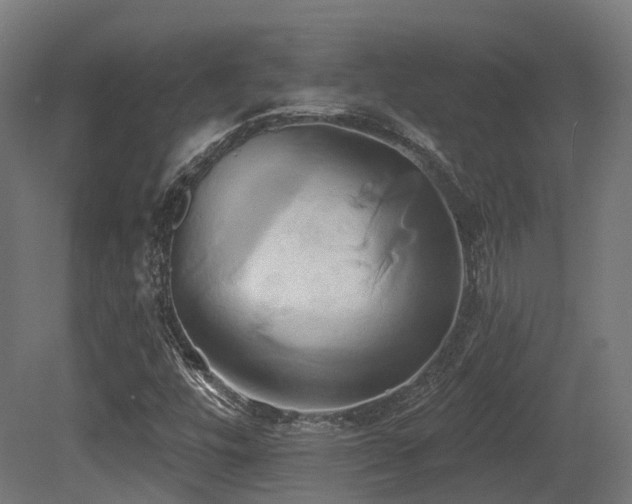X0000081301448200701111412