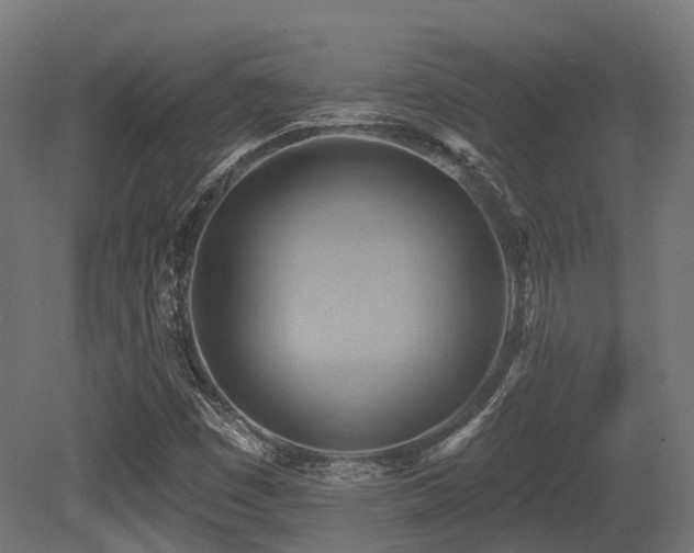 X0000081301449200701111412