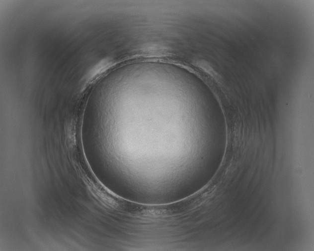 X0000081301451200701111412