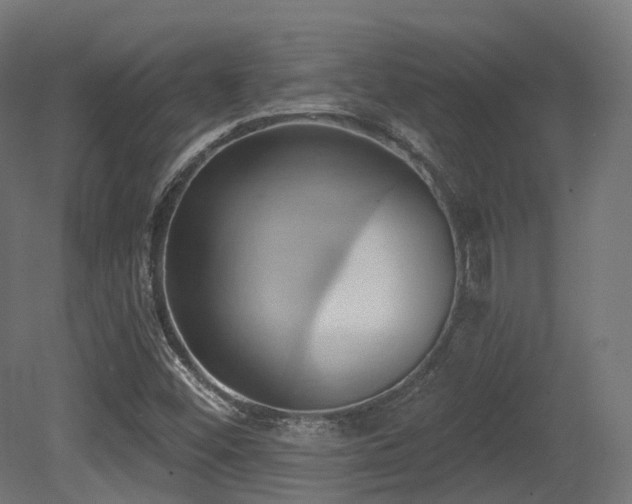 X0000081301452200701111412
