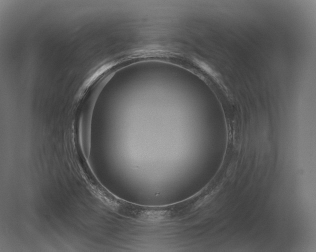 X0000081301453200701111412