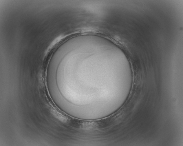 X0000081301454200701111412