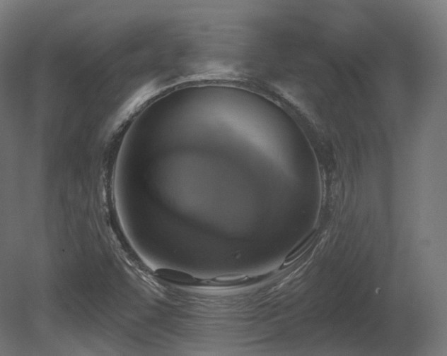 X0000081301455200701111412