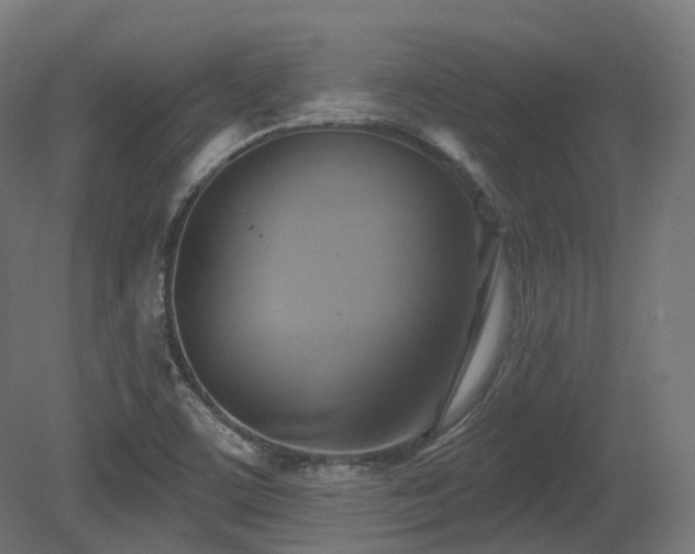 X0000081301459200701111412