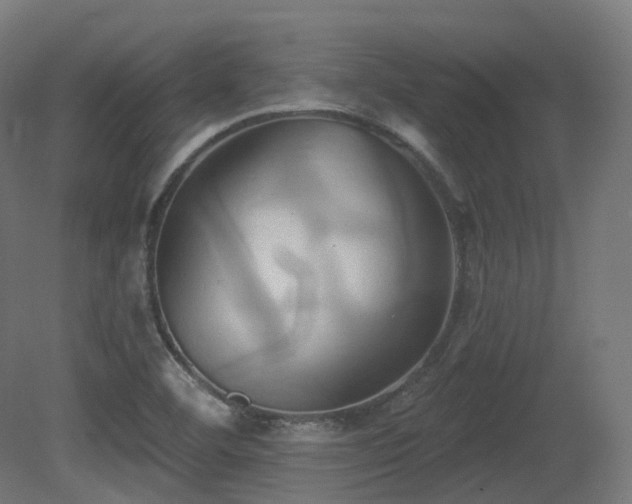 X0000081301460200701111412