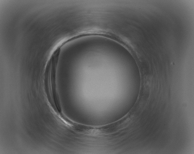 X0000081301463200701111412