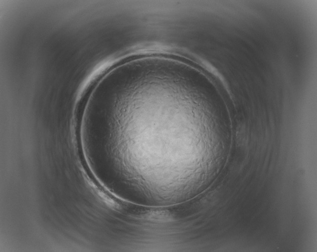X0000081301464200701111412