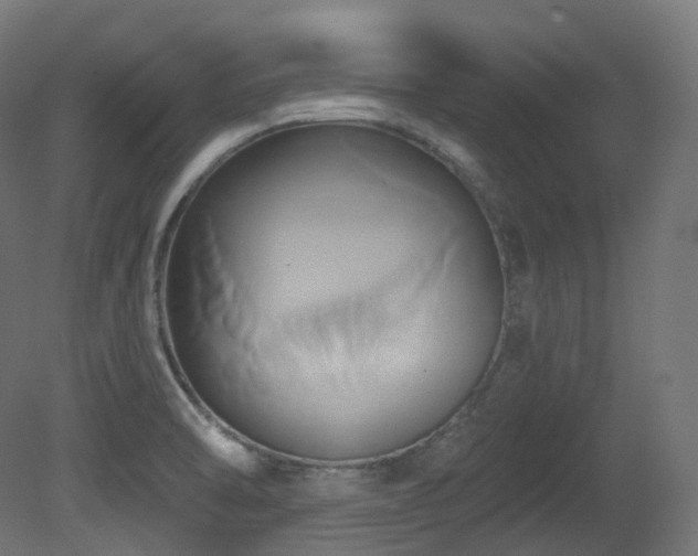X0000081301470200701111412
