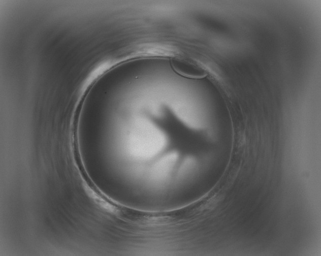 X0000081301471200701111412