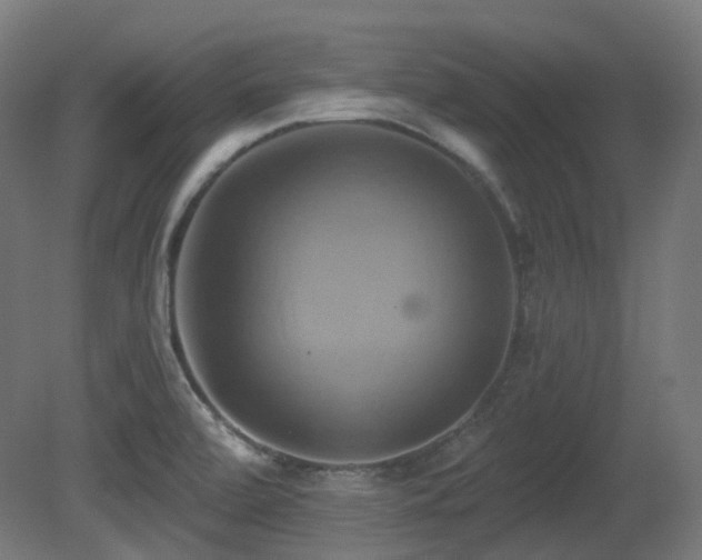 X0000081301472200701111412
