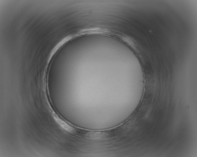 X0000081301474200701111412