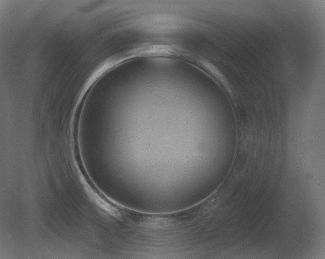 X0000081301475200701111412