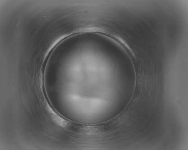 X0000081301476200701111412