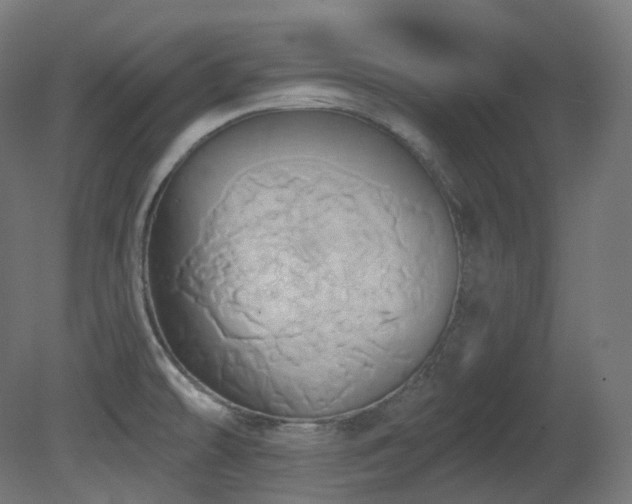 X0000081301478200701111412