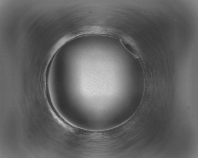 X0000081301479200701111412