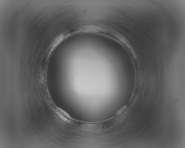 X0000081301481200701111412